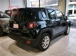 جيب رينيجيد